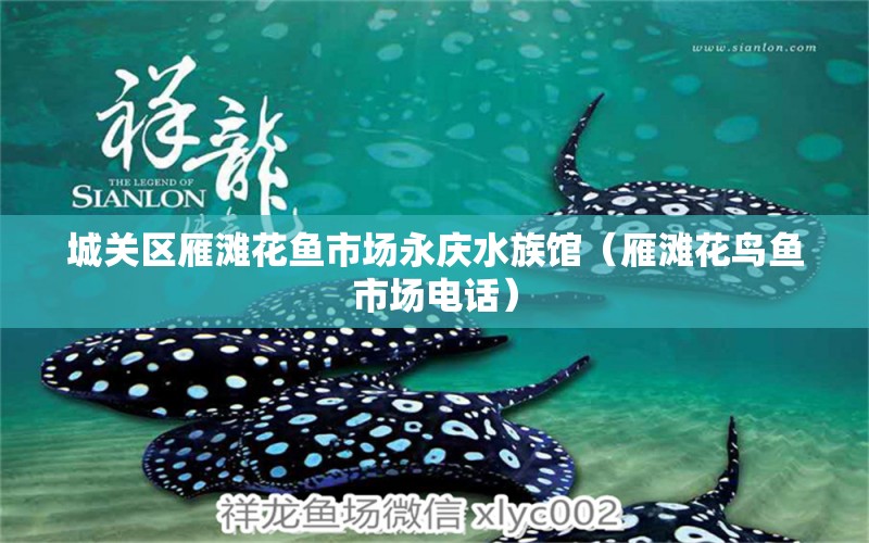 城关区雁滩花鱼市场永庆水族馆（雁滩花鸟鱼市场电话）