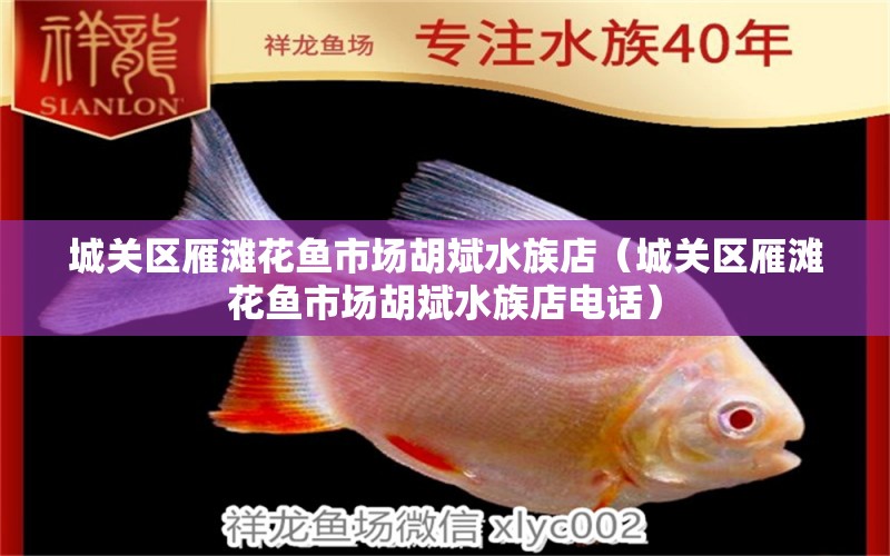 城关区雁滩花鱼市场胡斌水族店（城关区雁滩花鱼市场胡斌水族店电话）