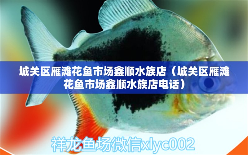 城关区雁滩花鱼市场鑫顺水族店（城关区雁滩花鱼市场鑫顺水族店电话）