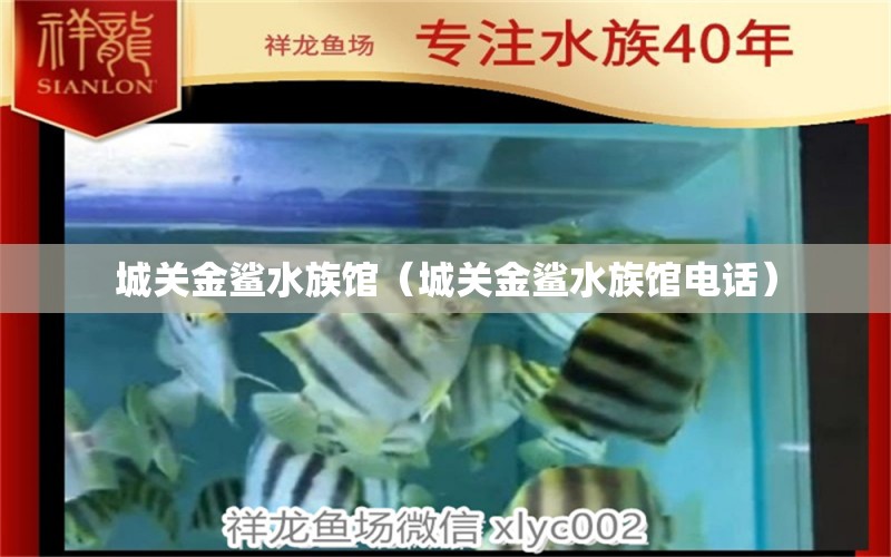 城关金鲨水族馆（城关金鲨水族馆电话）