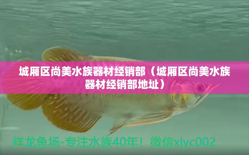 城厢区尚美水族器材经销部（城厢区尚美水族器材经销部地址）