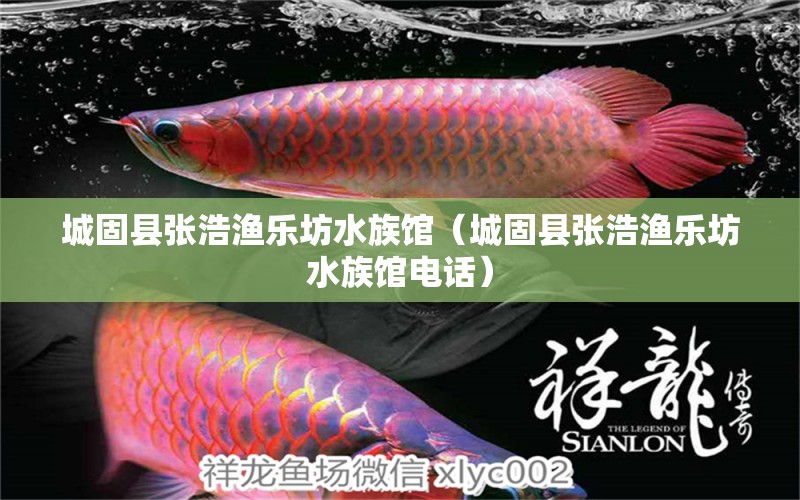 城固县张浩渔乐坊水族馆（城固县张浩渔乐坊水族馆电话）