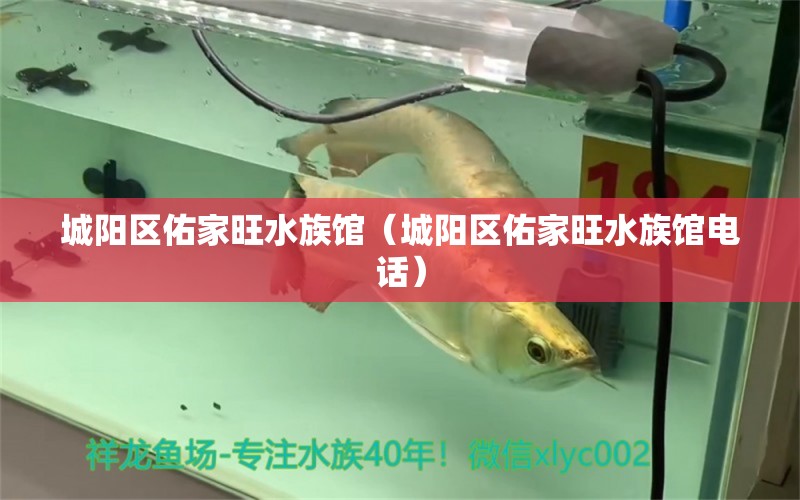 城阳区佑家旺水族馆（城阳区佑家旺水族馆电话） 全国水族馆企业名录