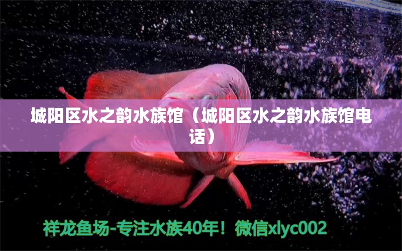 城阳区水之韵水族馆（城阳区水之韵水族馆电话） 全国水族馆企业名录