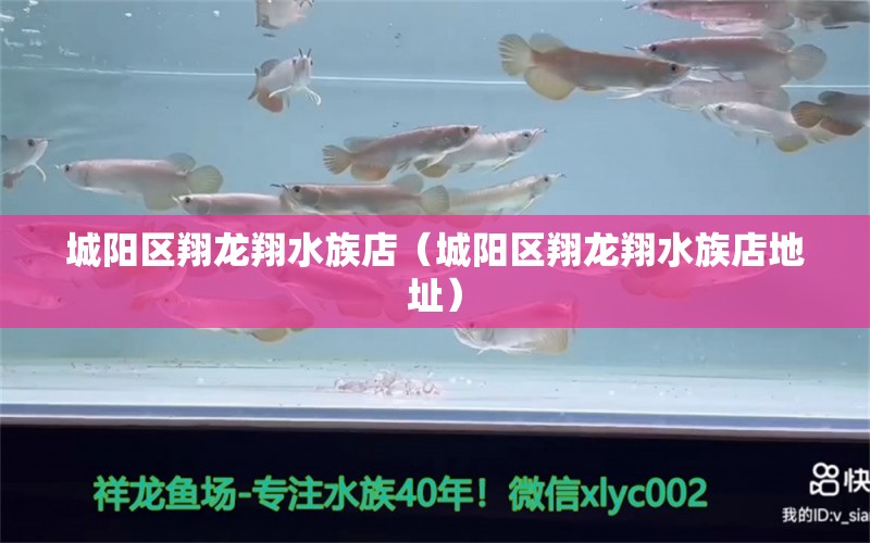 城阳区翔龙翔水族店（城阳区翔龙翔水族店地址）