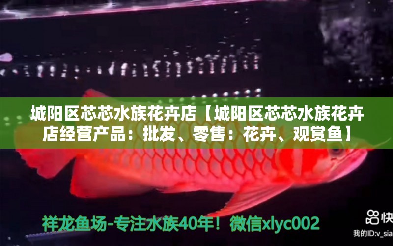 城阳区芯芯水族花卉店【城阳区芯芯水族花卉店经营产品：批发、零售：花卉、观赏鱼】 全国观赏鱼市场 第2张