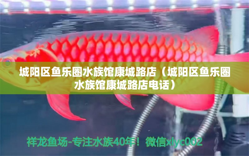 城阳区鱼乐圈水族馆康城路店（城阳区鱼乐圈水族馆康城路店电话）