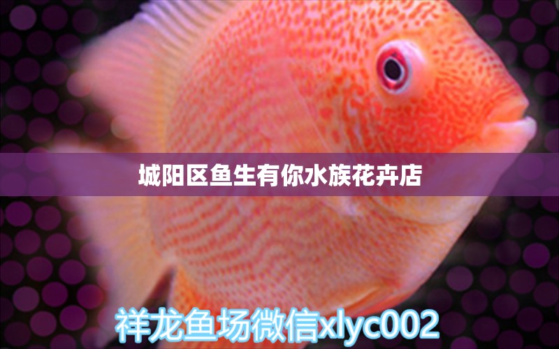 城阳区鱼生有你水族花卉店 全国水族馆企业名录