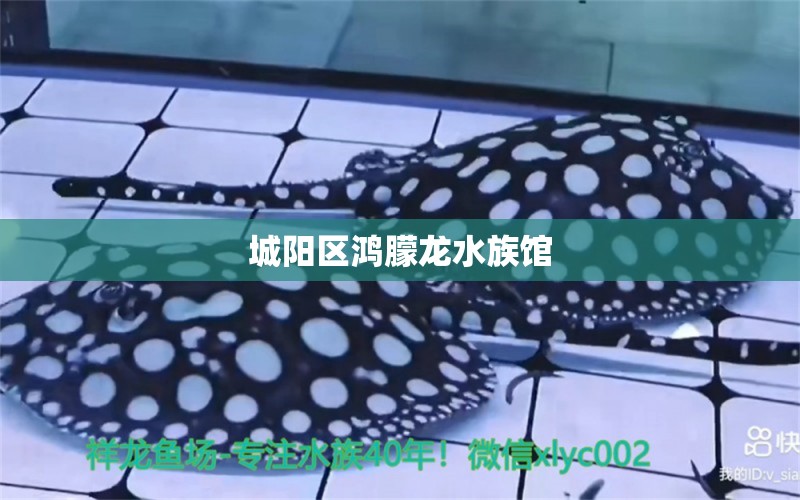 城阳区鸿朦龙水族馆