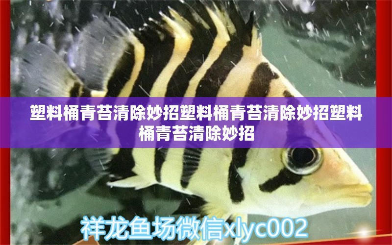 塑料桶青苔清除妙招塑料桶青苔清除妙招塑料桶青苔清除妙招 鱼缸净水剂