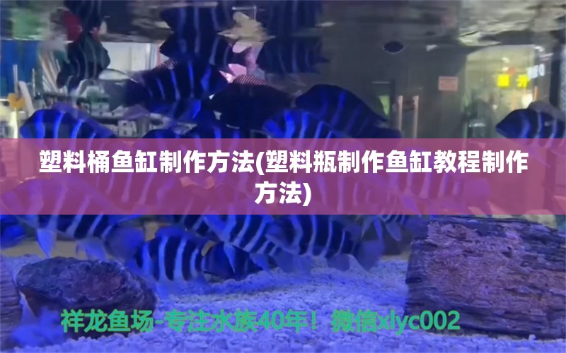 塑料桶鱼缸制作方法(塑料瓶制作鱼缸教程制作方法)