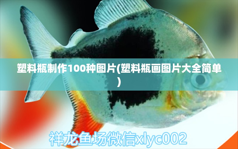 塑料瓶制作100种图片(塑料瓶画图片大全简单) 泰国虎鱼