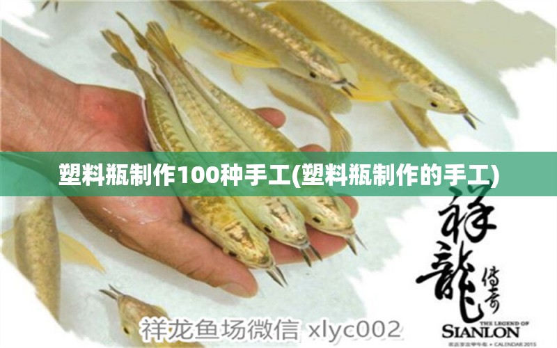 塑料瓶制作100种手工(塑料瓶制作的手工) 喷点菠萝鱼