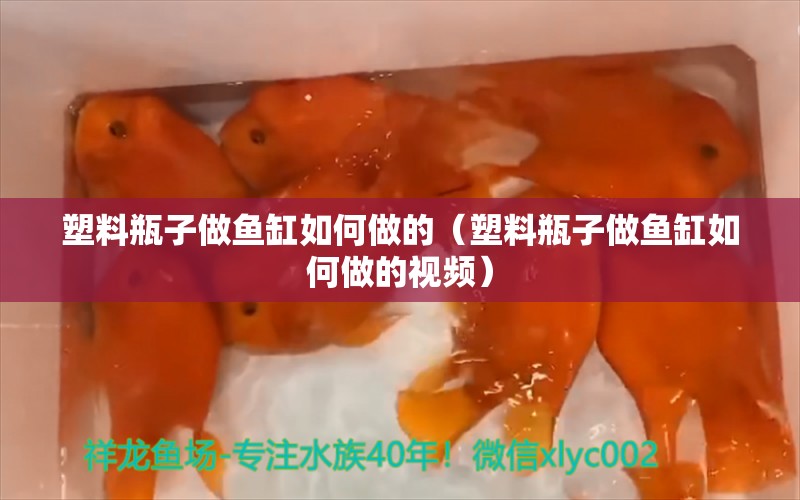 塑料瓶子做鱼缸如何做的（塑料瓶子做鱼缸如何做的视频）