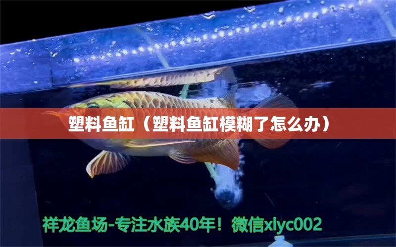 塑料鱼缸（塑料鱼缸模糊了怎么办） 祥龙水族医院