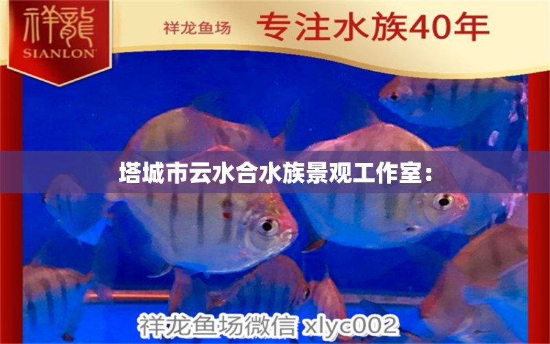 塔城市云水合水族景观工作室：