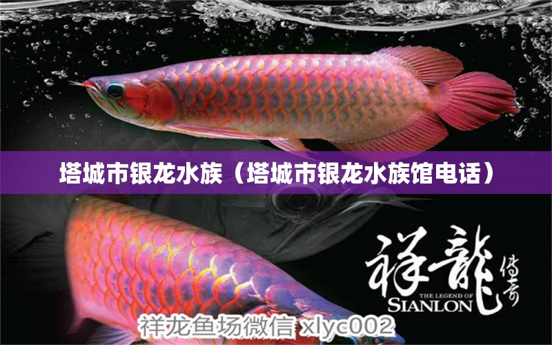 塔城市银龙水族（塔城市银龙水族馆电话） 全国水族馆企业名录