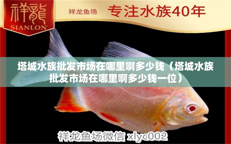 塔城水族批发市场在哪里啊多少钱（塔城水族批发市场在哪里啊多少钱一位）