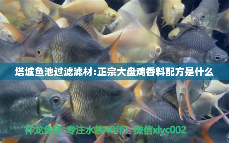 塔城鱼池过滤滤材:正宗大盘鸡香料配方是什么 广州水族器材滤材批发市场