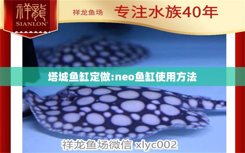 塔城鱼缸定做:neo鱼缸使用方法 鱼缸百科