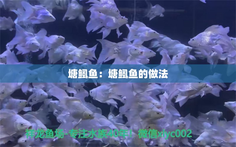 塘鲺鱼：塘鲺鱼的做法