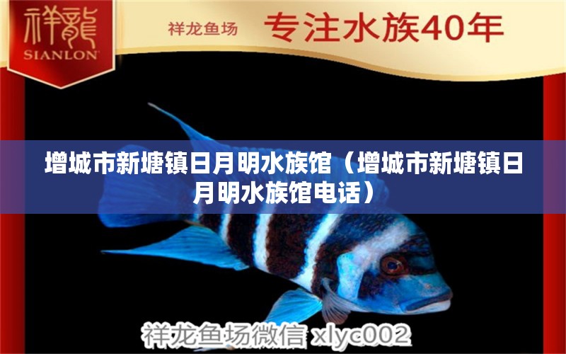 增城市新塘镇日月明水族馆（增城市新塘镇日月明水族馆电话） 全国水族馆企业名录