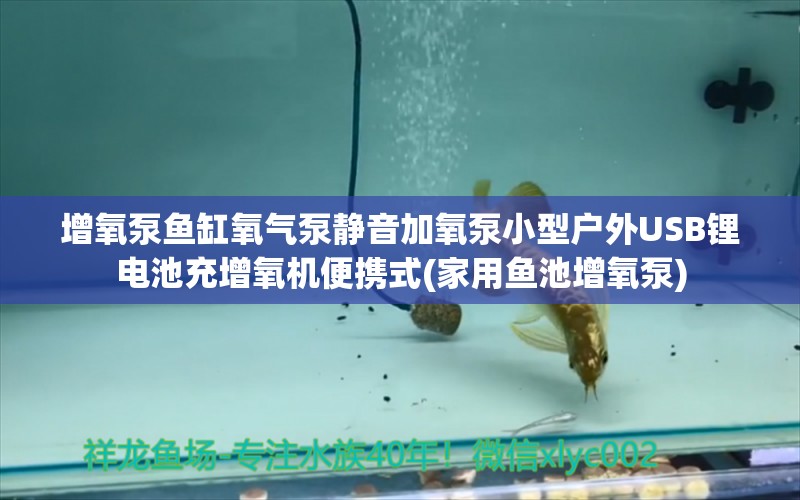 增氧泵鱼缸氧气泵静音加氧泵小型户外USB锂电池充增氧机便携式(家用鱼池增氧泵)