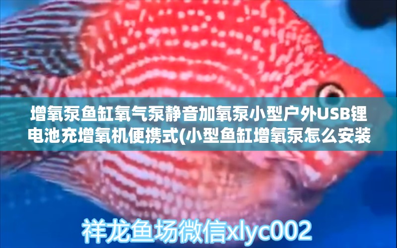 增氧泵鱼缸氧气泵静音加氧泵小型户外USB锂电池充增氧机便携式(小型鱼缸增氧泵怎么安装)