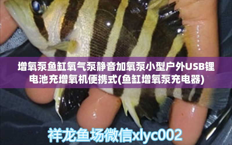 增氧泵鱼缸氧气泵静音加氧泵小型户外USB锂电池充增氧机便携式(鱼缸增氧泵充电器)