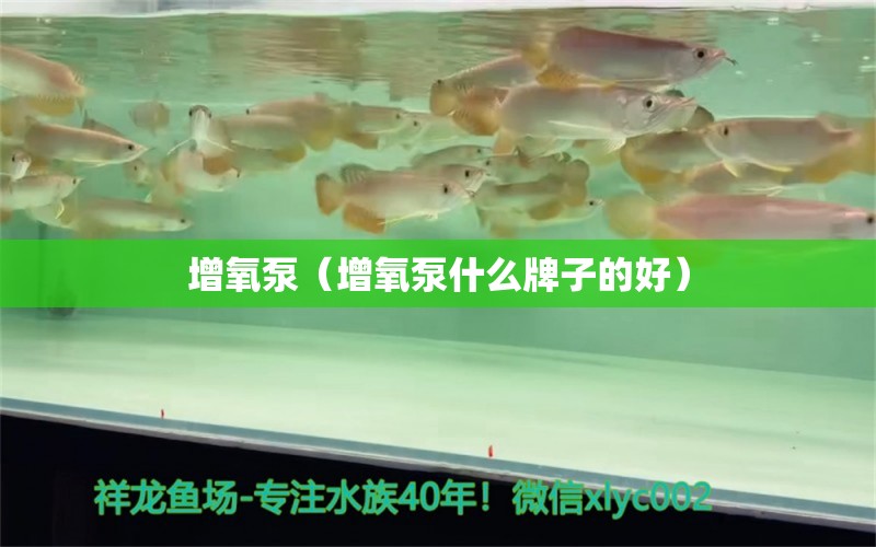 增氧泵（增氧泵什么牌子的好）