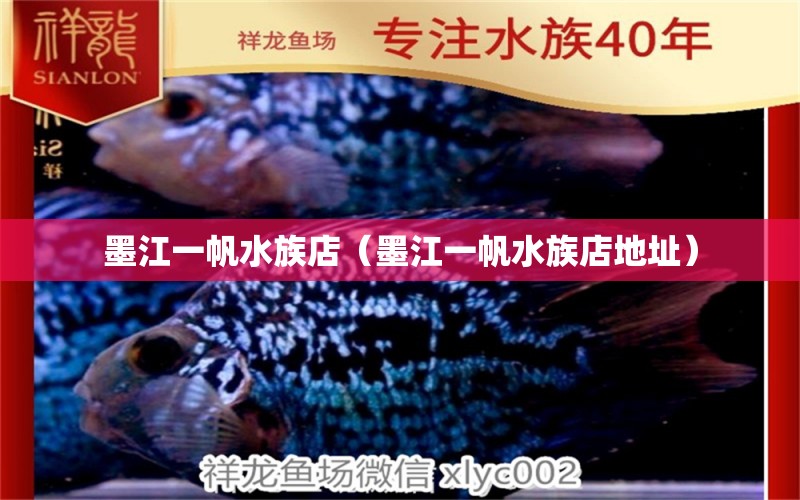 墨江一帆水族店（墨江一帆水族店地址）