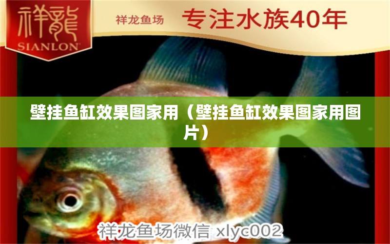 壁挂鱼缸效果图家用（壁挂鱼缸效果图家用图片） 祥龙水族医院