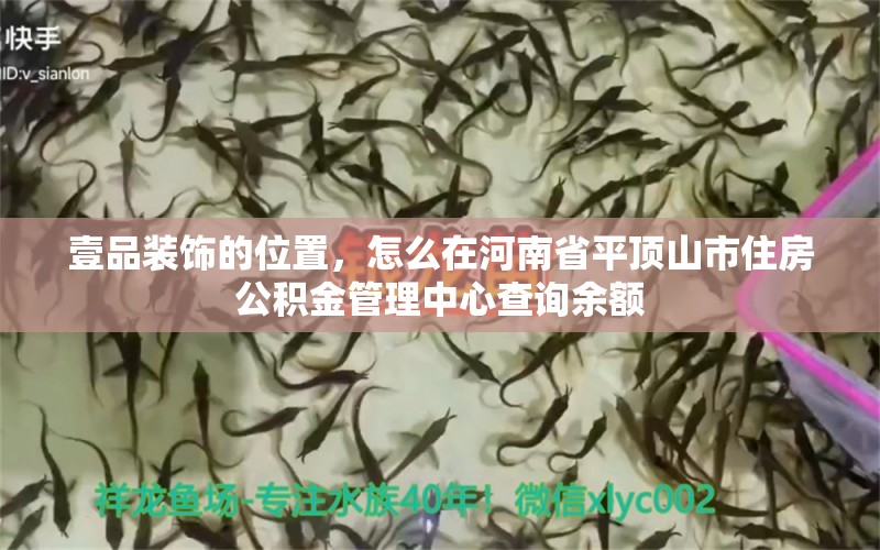 壹品装饰的位置，怎么在河南省平顶山市住房公积金管理中心查询余额