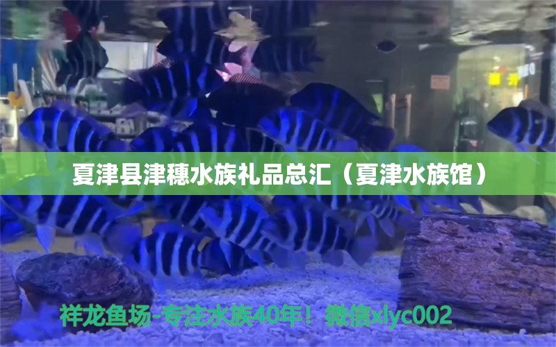 夏津县津穗水族礼品总汇（夏津水族馆）