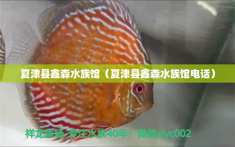 夏津县鑫森水族馆（夏津县鑫森水族馆电话）