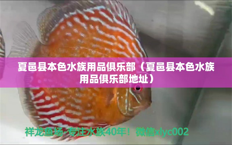 夏邑县本色水族用品俱乐部（夏邑县本色水族用品俱乐部地址）