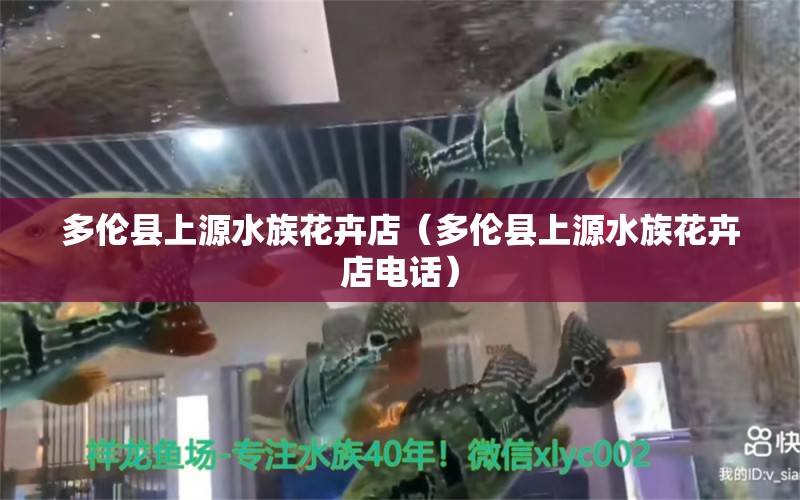 多伦县上源水族花卉店（多伦县上源水族花卉店电话） 全国水族馆企业名录