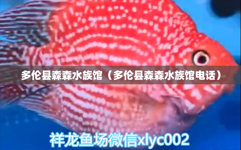 多伦县森森水族馆（多伦县森森水族馆电话）