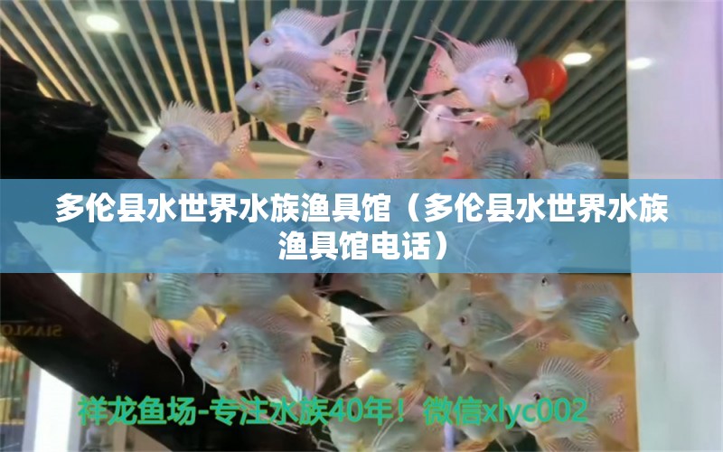 多伦县水世界水族渔具馆（多伦县水世界水族渔具馆电话） 全国水族馆企业名录