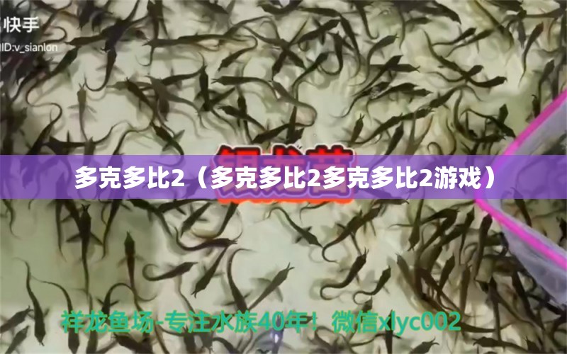 多克多比2（多克多比2多克多比2游戏） 祥龙水族滤材/器材 第2张