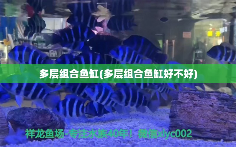 多层组合鱼缸(多层组合鱼缸好不好) 照明器材 第1张