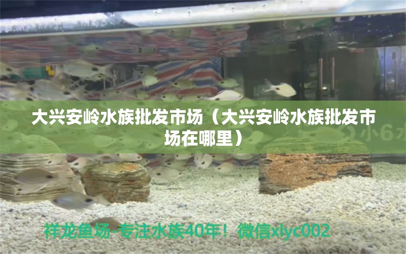 大兴安岭水族批发市场（大兴安岭水族批发市场在哪里）