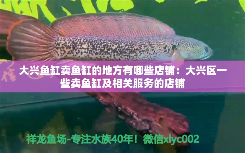 大兴鱼缸卖鱼缸的地方有哪些店铺：大兴区一些卖鱼缸及相关服务的店铺 鱼缸百科 第2张