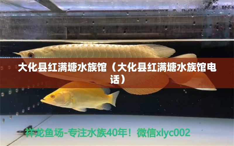 大化县红满塘水族馆（大化县红满塘水族馆电话）