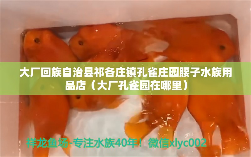 大厂回族自治县祁各庄镇孔雀庄园腰子水族用品店（大厂孔雀园在哪里）