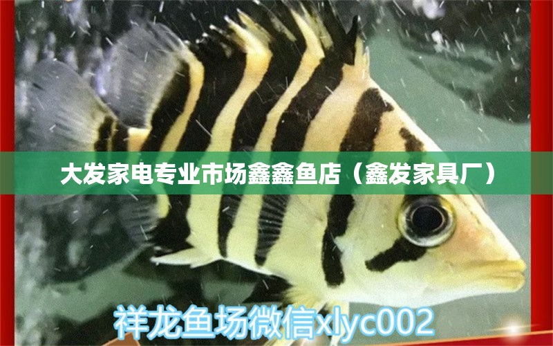 大发家电专业市场鑫鑫鱼店（鑫发家具厂） 全国水族馆企业名录