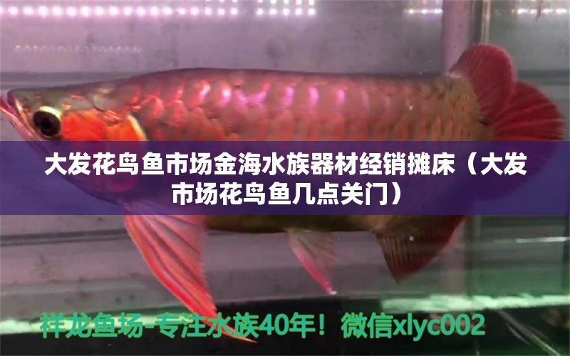 大发花鸟鱼市场金海水族器材经销摊床（大发市场花鸟鱼几点关门）