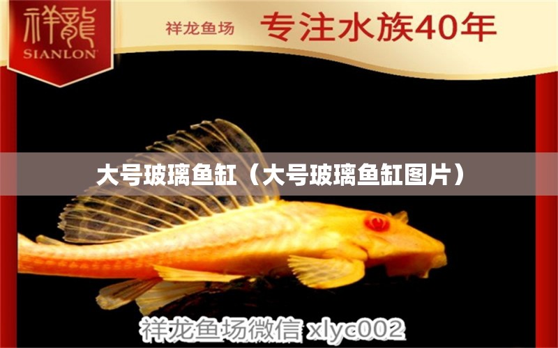 大号玻璃鱼缸（大号玻璃鱼缸图片） 其他品牌鱼缸