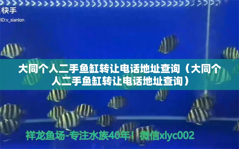 大同个人二手鱼缸转让电话地址查询（大同个人二手鱼缸转让电话地址查询）