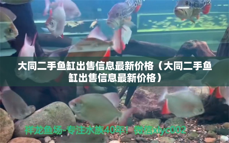 大同二手鱼缸出售信息最新价格（大同二手鱼缸出售信息最新价格） 委内瑞拉奥里诺三间鱼苗